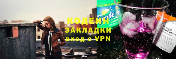 молекула духа Вяземский
