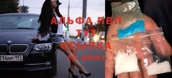 молекула духа Вяземский