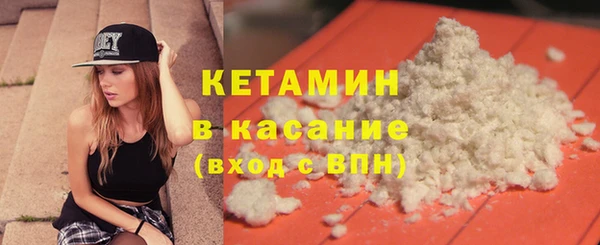 дживик Ельня