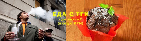 молекула духа Вяземский