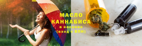 дживик Ельня
