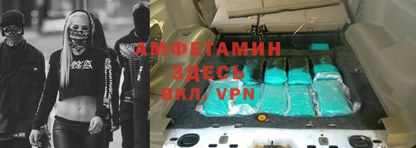ГАЛЛЮЦИНОГЕННЫЕ ГРИБЫ Вязьма