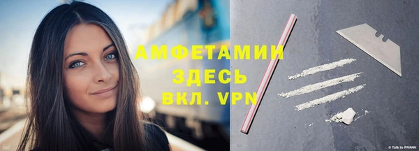 молекула духа Вяземский