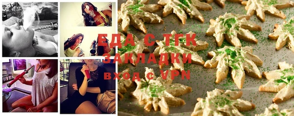 молекула духа Вяземский
