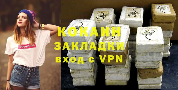 молекула духа Вяземский