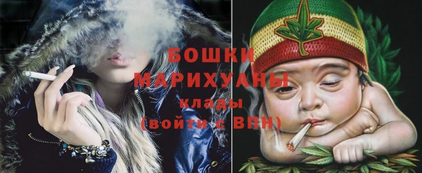 молекула духа Вяземский
