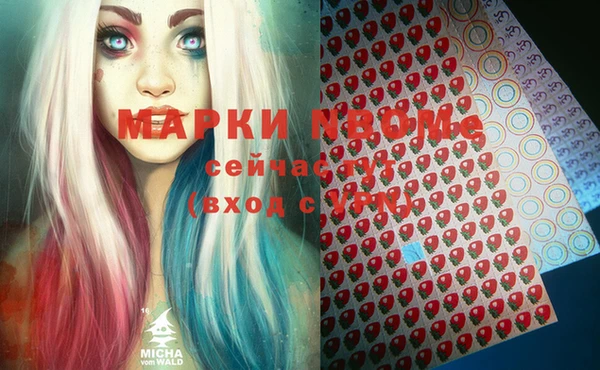молекула духа Вяземский