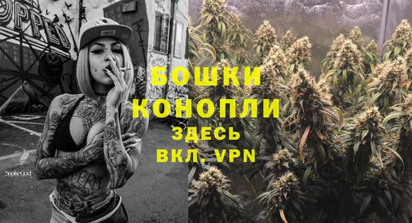 ГАЛЛЮЦИНОГЕННЫЕ ГРИБЫ Вязьма