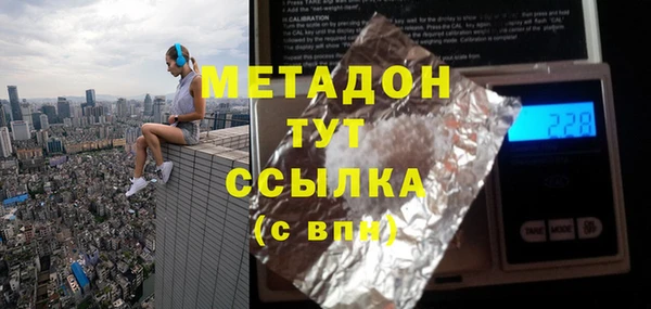 дживик Ельня