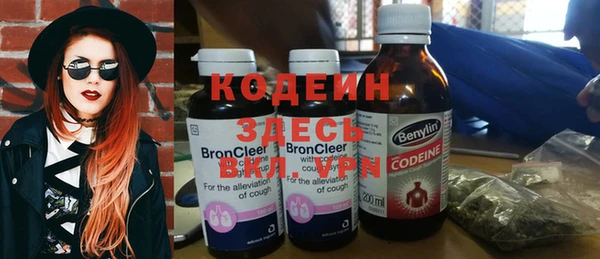 молекула духа Вяземский