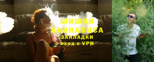 молекула духа Вяземский