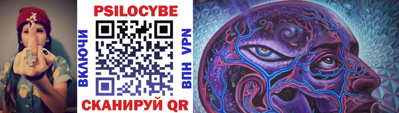 Галлюциногенные грибы Psilocybe  Горбатов 